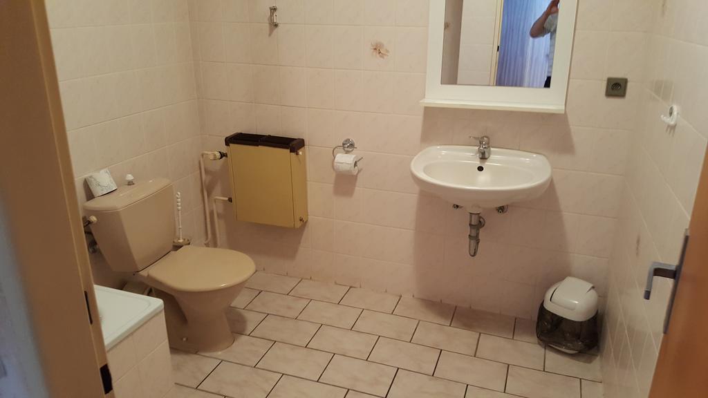 Pension U Dubu Františkovy Lázně Buitenkant foto